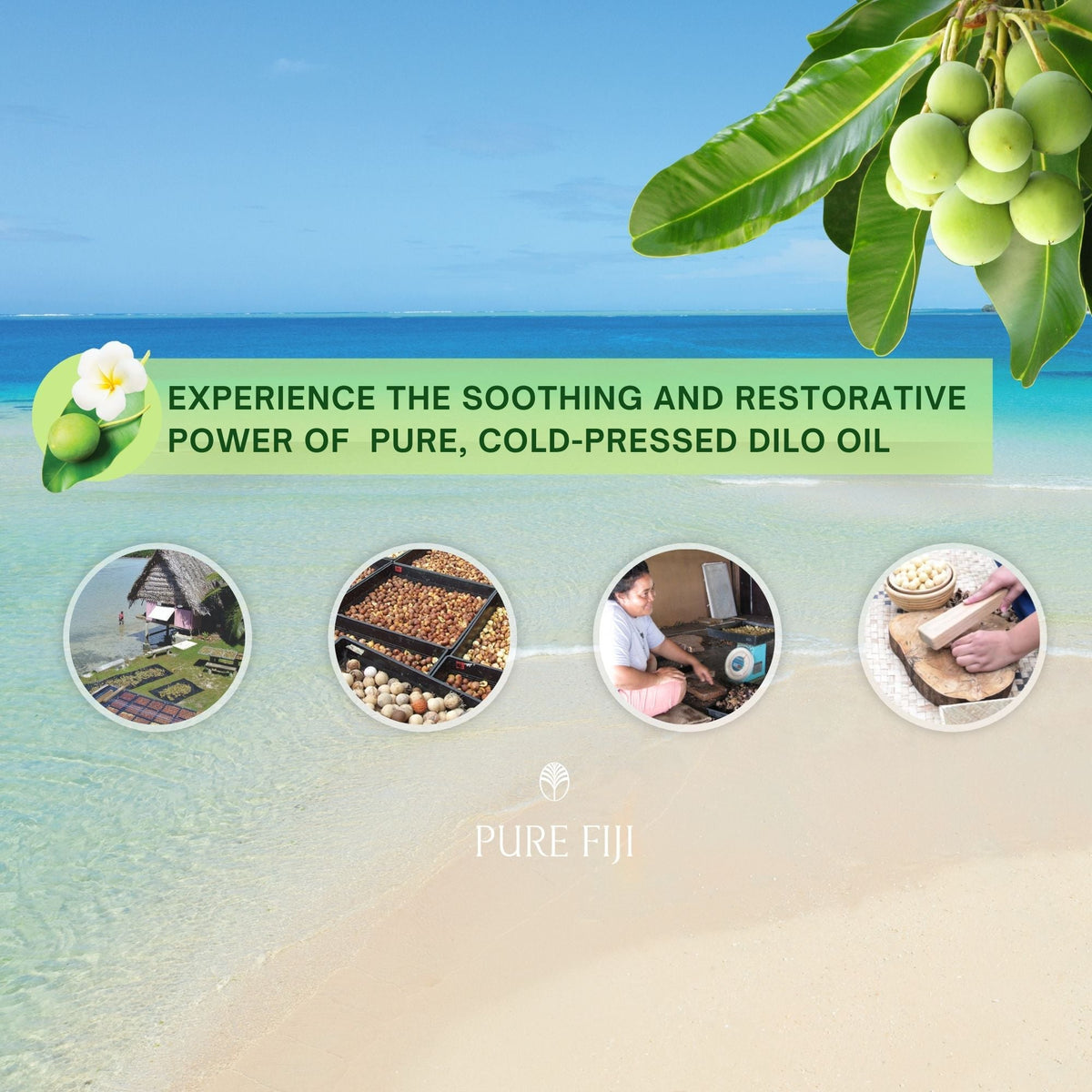 Pure Fiji Dilo Restorative Body Oil (3oz/90ml)